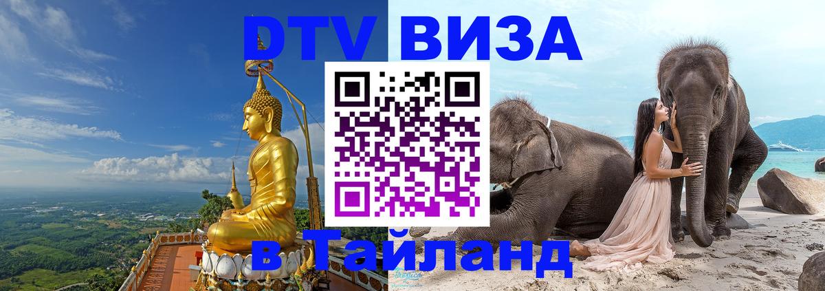 Оформление DTV визы под ключ: стоимость и тарифы, только загранпаспорт - Липецк 